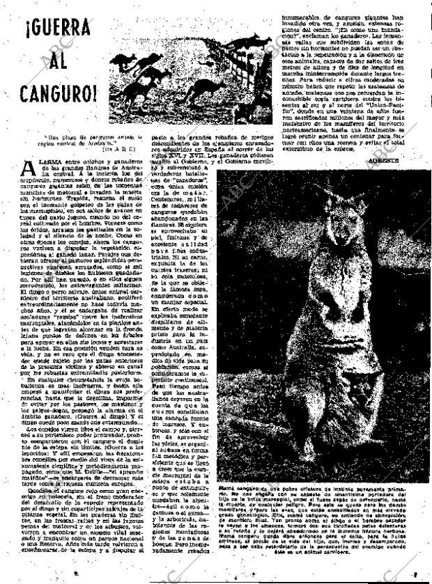 ABC MADRID 22-01-1961 página 51