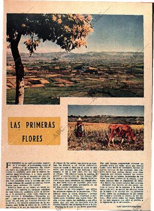 ABC MADRID 19-02-1961 página 13