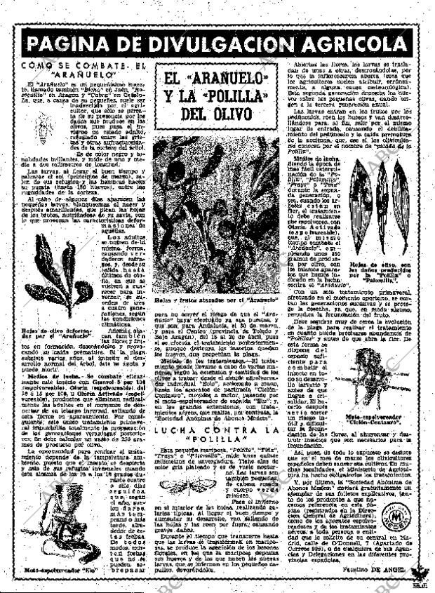 ABC MADRID 22-02-1961 página 7