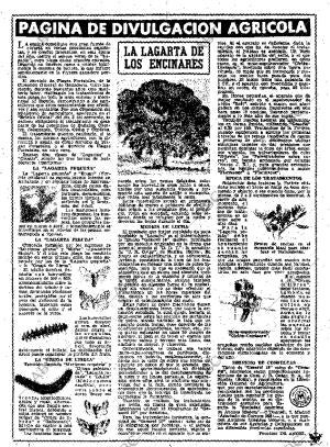 ABC MADRID 24-02-1961 página 15