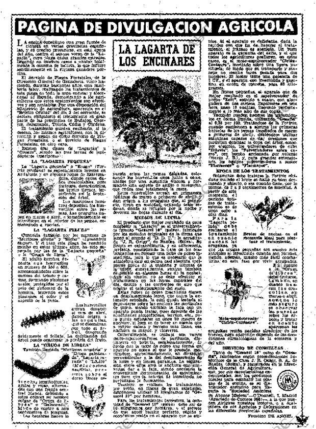 ABC MADRID 24-02-1961 página 15