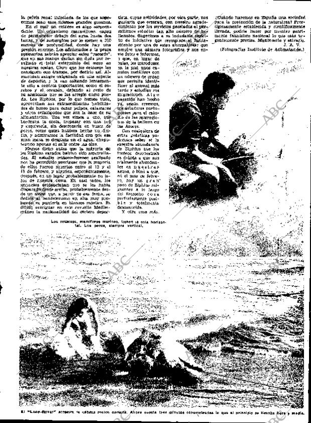 ABC SEVILLA 16-04-1961 página 35