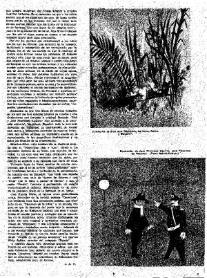 ABC MADRID 07-05-1961 página 19