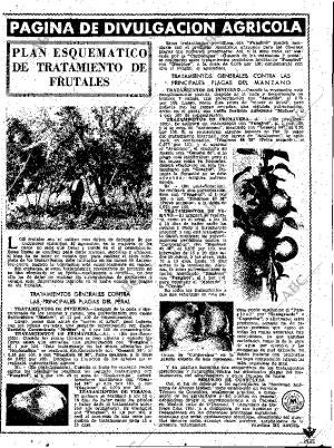ABC MADRID 11-05-1961 página 19