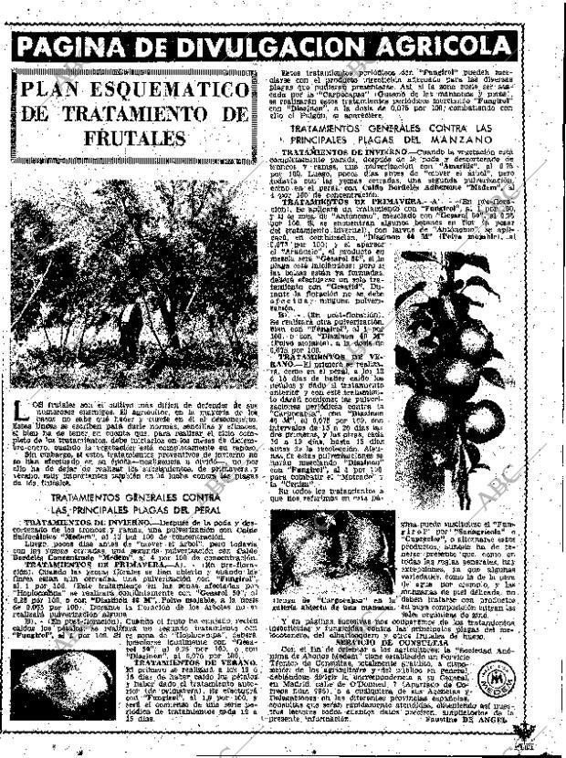 ABC MADRID 11-05-1961 página 19