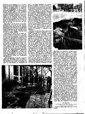 ABC MADRID 11-05-1961 página 23