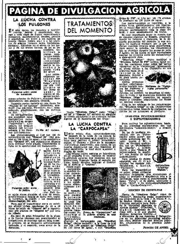 ABC MADRID 10-06-1961 página 19