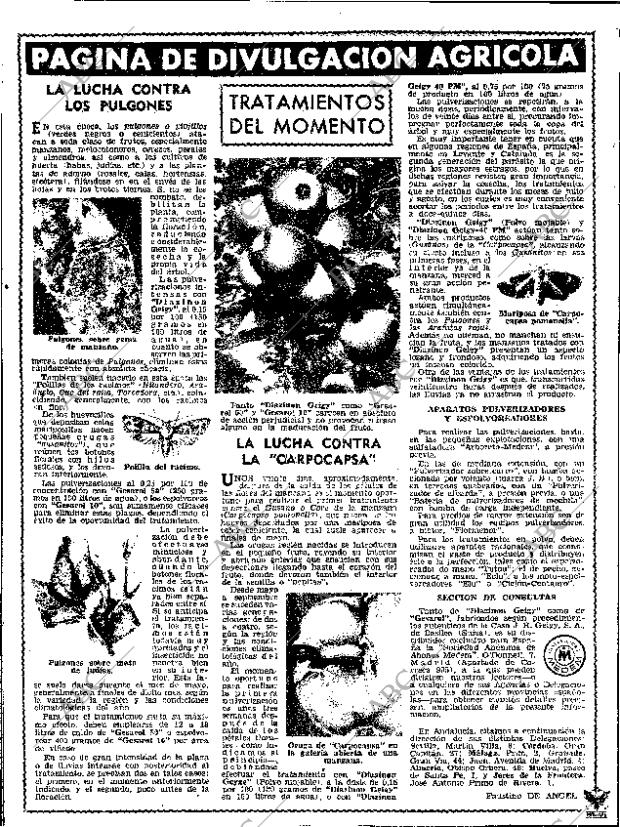 ABC SEVILLA 16-06-1961 página 26