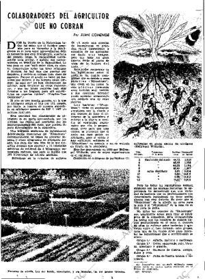 ABC MADRID 24-06-1961 página 41