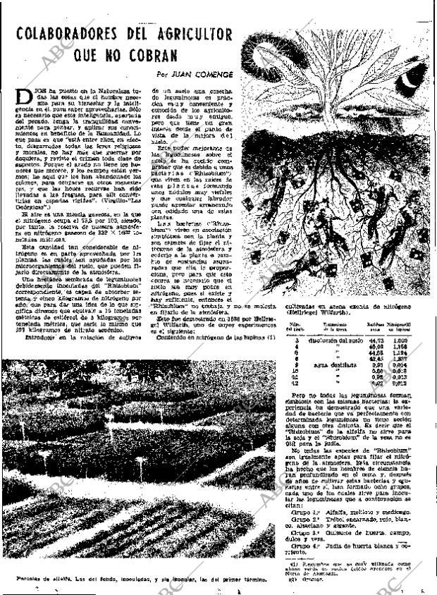 ABC MADRID 24-06-1961 página 41