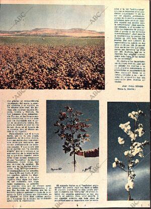 ABC MADRID 25-06-1961 página 13