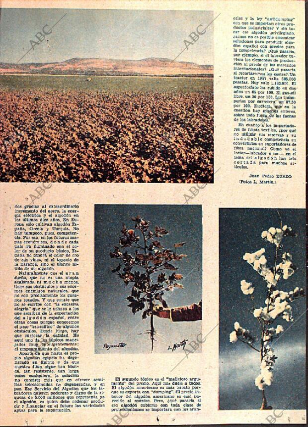 ABC MADRID 25-06-1961 página 13