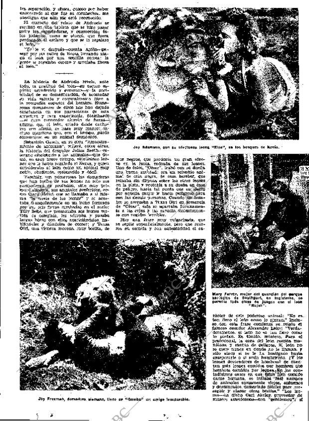 ABC MADRID 25-06-1961 página 33