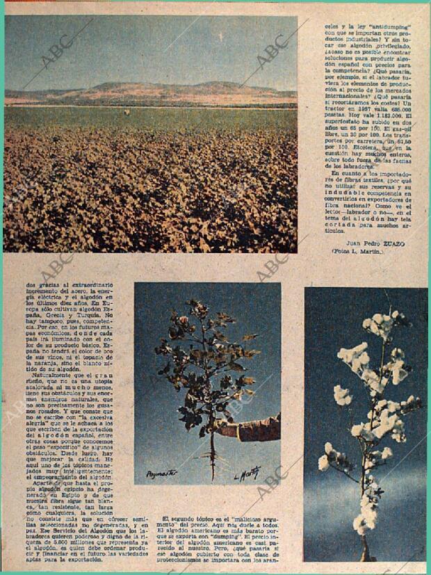 ABC SEVILLA 25-06-1961 página 13