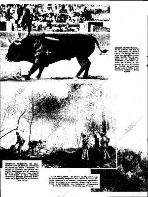 ABC SEVILLA 15-07-1961 página 8