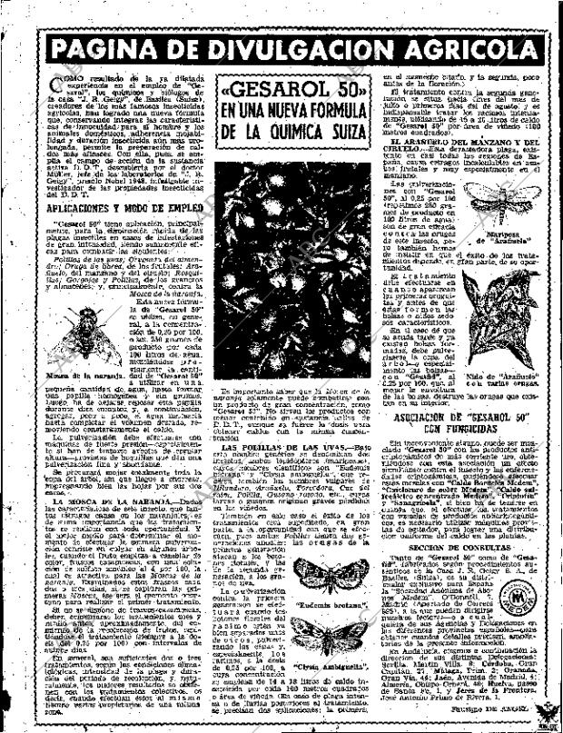 ABC SEVILLA 13-08-1961 página 45