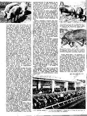 ABC MADRID 20-10-1961 página 43
