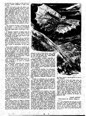 ABC MADRID 16-12-1961 página 19