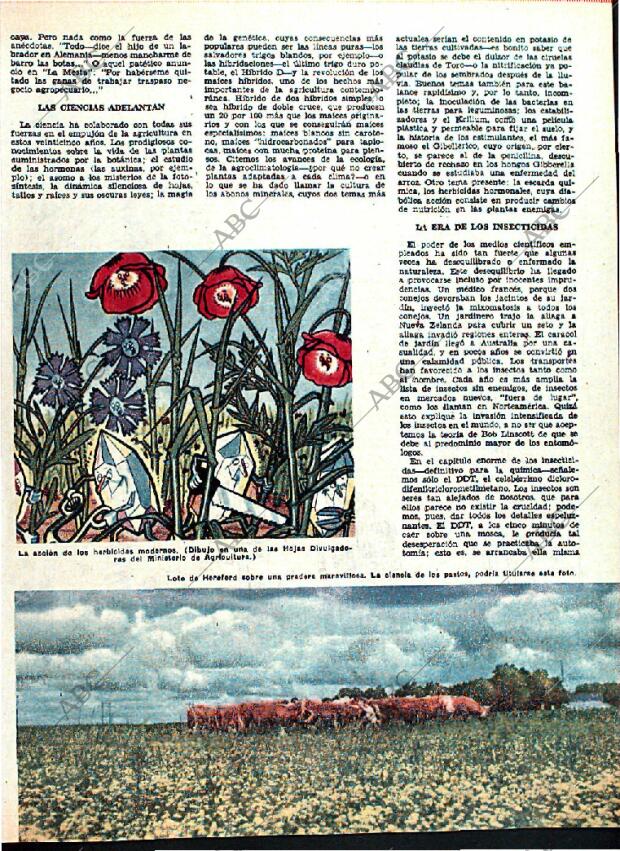 ABC MADRID 24-12-1961 página 167