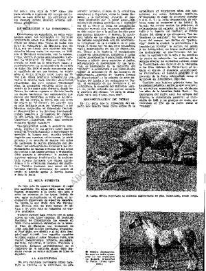 ABC MADRID 24-12-1961 página 169