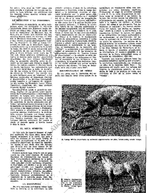 ABC MADRID 24-12-1961 página 169