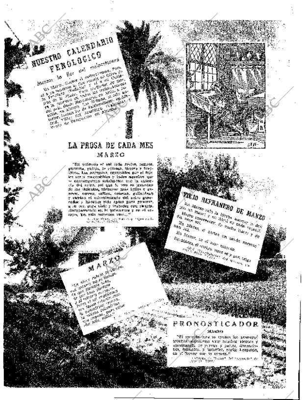 ABC MADRID 24-12-1961 página 203