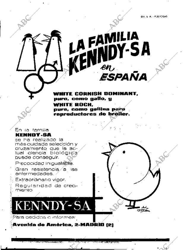 ABC MADRID 26-12-1961 página 14