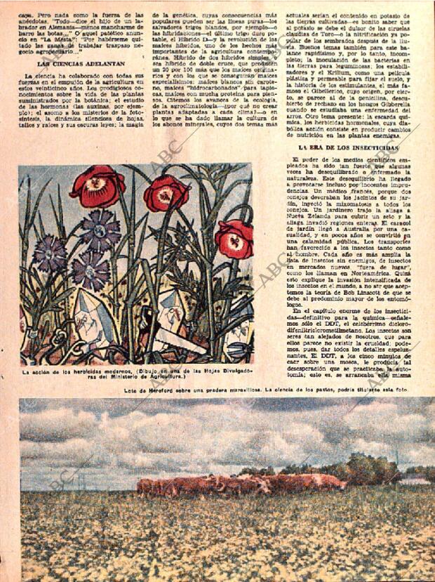 ABC SEVILLA 28-12-1961 página 83