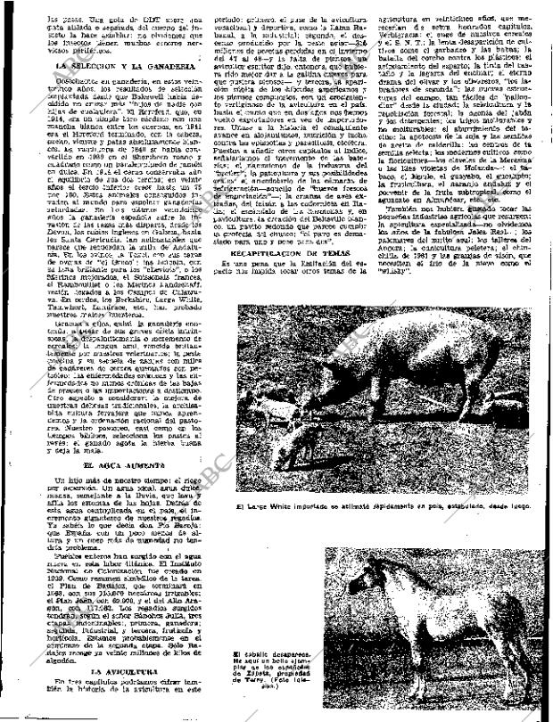 ABC SEVILLA 28-12-1961 página 85
