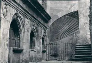 Conchas de la catedral de Santiago de Compostela