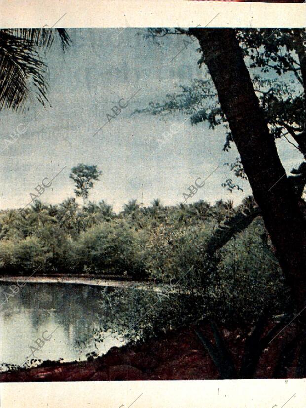 BLANCO Y NEGRO MADRID 20-01-1962 página 57