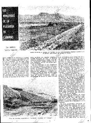 ABC MADRID 04-02-1962 página 31