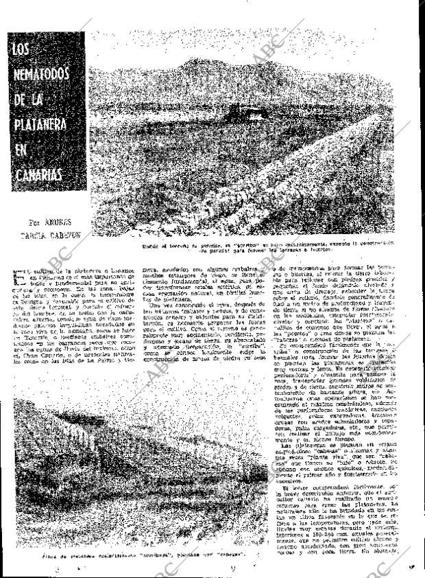 ABC MADRID 04-02-1962 página 31