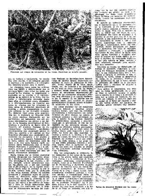 ABC MADRID 04-02-1962 página 33