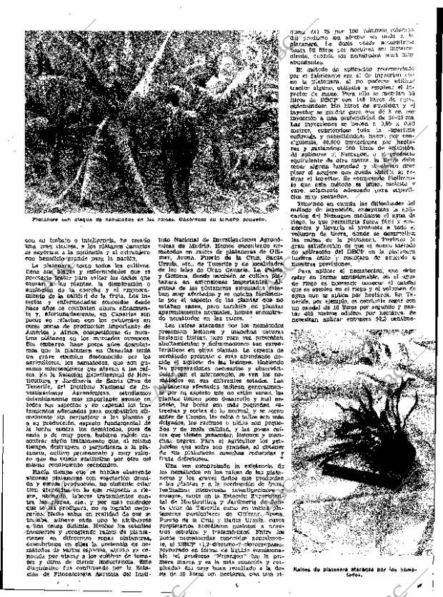 ABC MADRID 04-02-1962 página 33