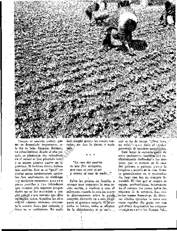 BLANCO Y NEGRO MADRID 10-02-1962 página 56