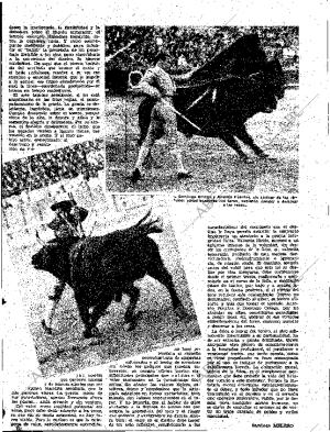 ABC SEVILLA 01-05-1962 página 19