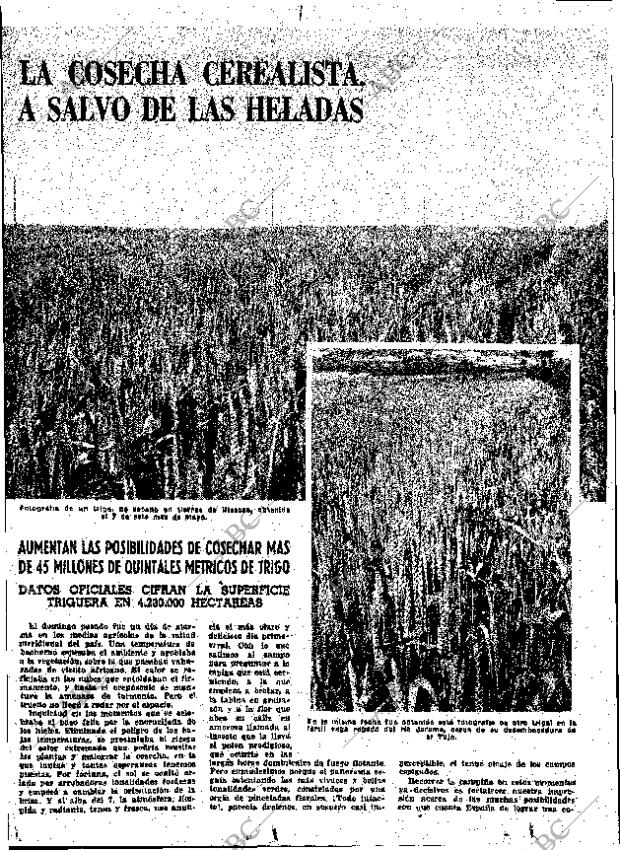 ABC MADRID 11-05-1962 página 42