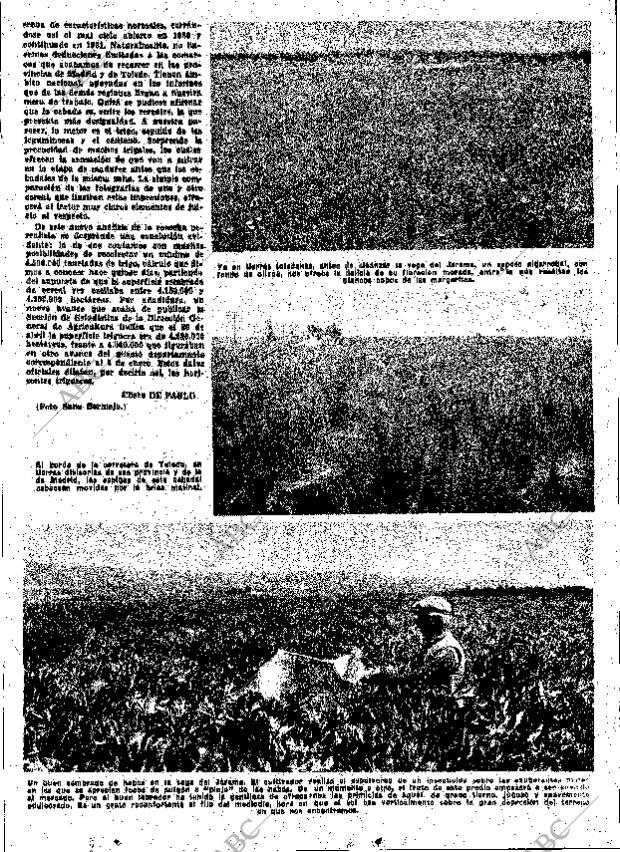 ABC MADRID 11-05-1962 página 43