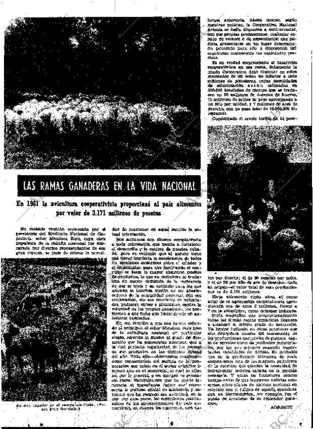 ABC MADRID 15-06-1962 página 43