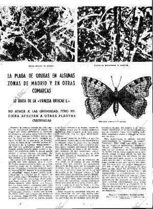 ABC MADRID 20-06-1962 página 33