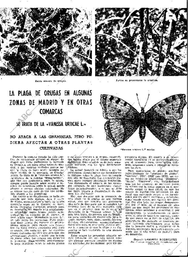 ABC MADRID 20-06-1962 página 33