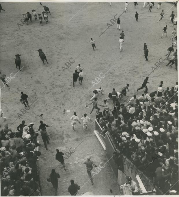 Pamplona. Julio de 1962. Encierros de Sanfermín. Entrada de los toros en la...