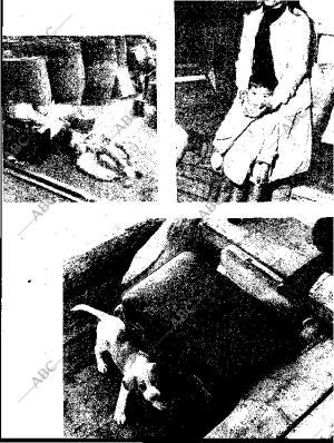 BLANCO Y NEGRO MADRID 07-07-1962 página 23