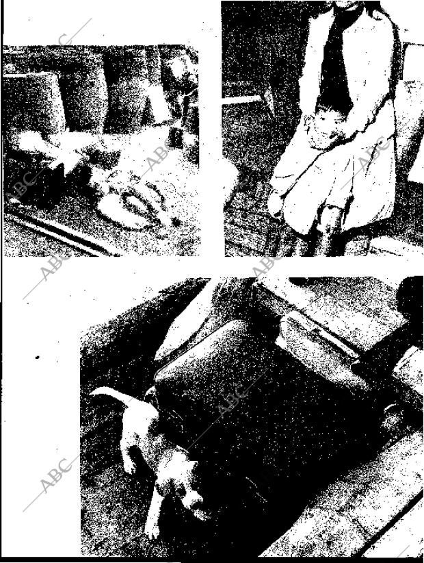 BLANCO Y NEGRO MADRID 07-07-1962 página 23