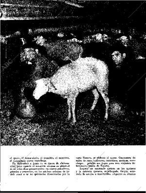 BLANCO Y NEGRO MADRID 07-07-1962 página 57