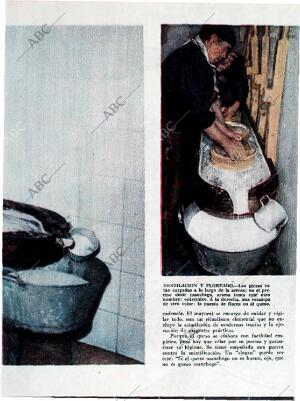 BLANCO Y NEGRO MADRID 07-07-1962 página 59