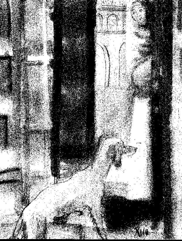 BLANCO Y NEGRO MADRID 07-07-1962 página 64