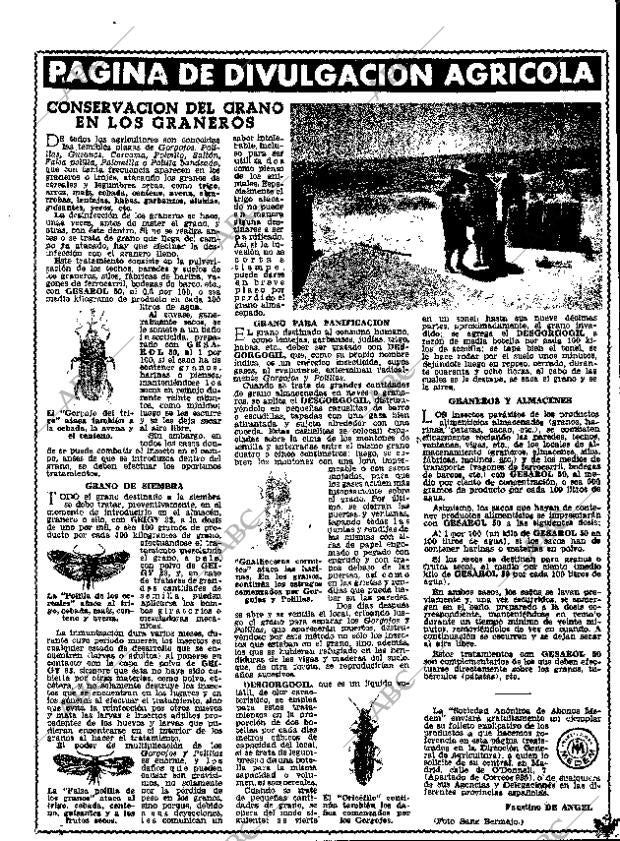 ABC MADRID 14-08-1962 página 17