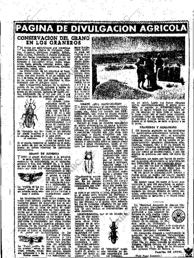 ABC SEVILLA 19-08-1962 página 18